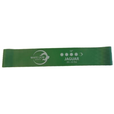 Green 12" Mini Band - 20 - 23lbs 