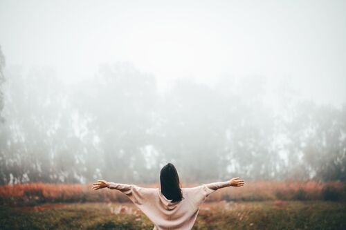 Norfolk Chiropractic